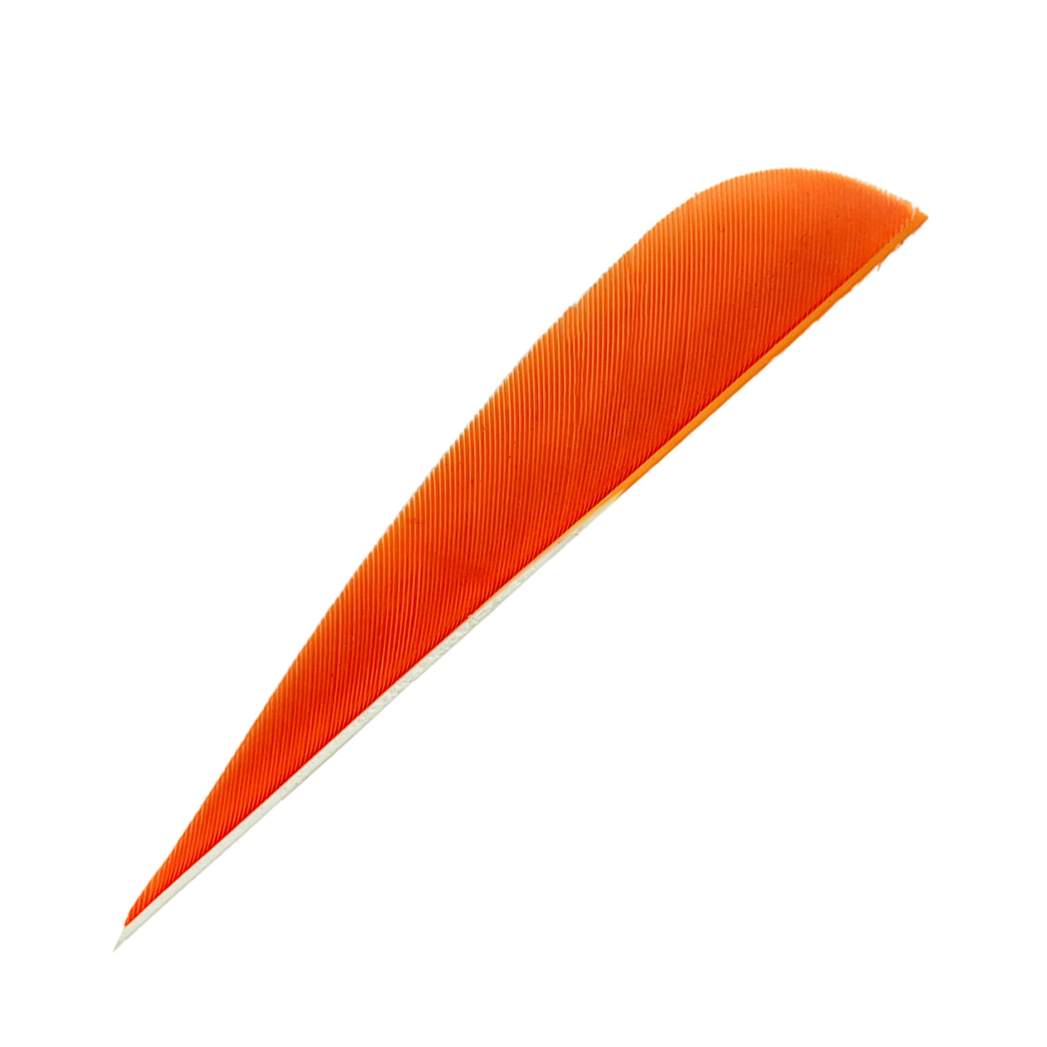 Feder RW Parabol
