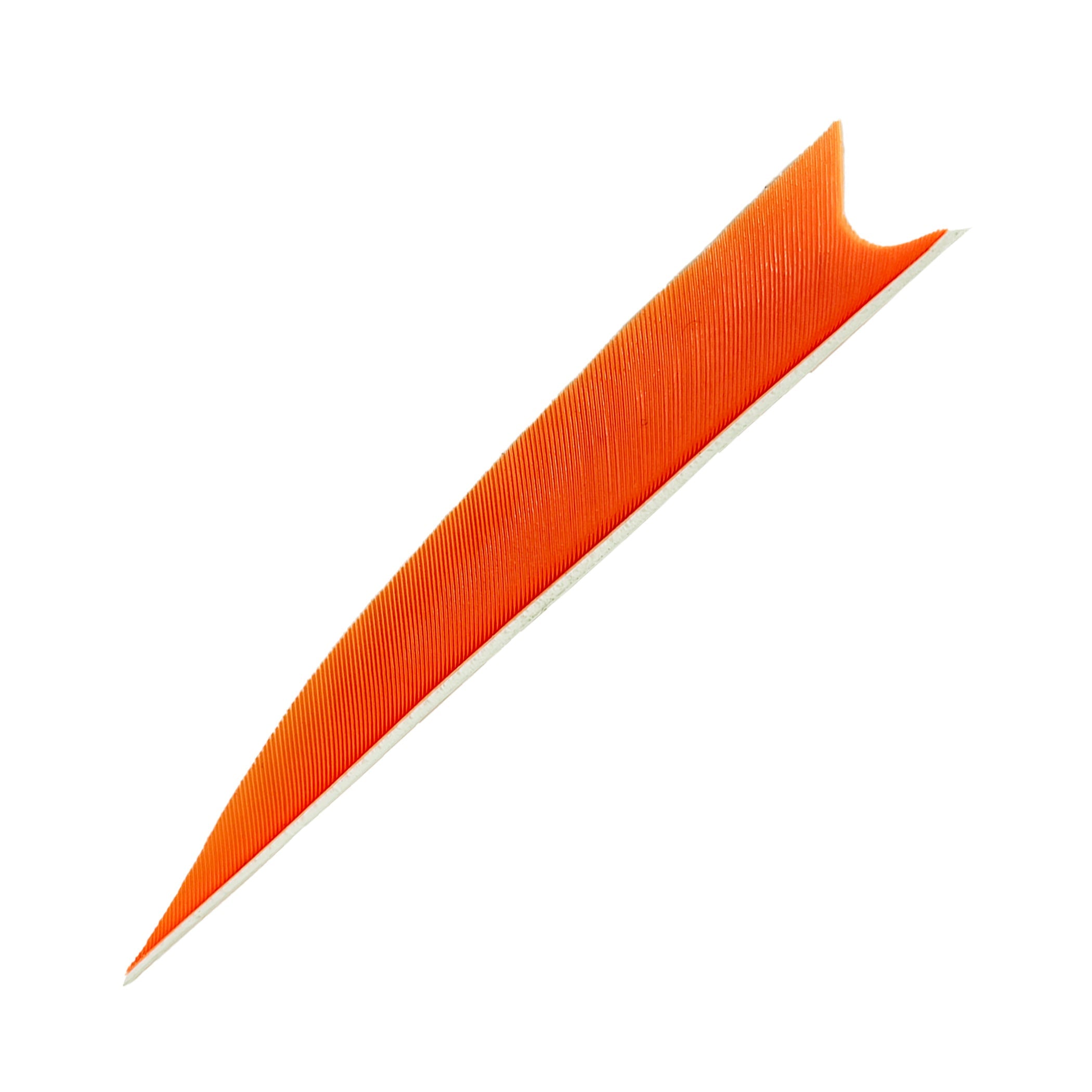 Feder RW Shark