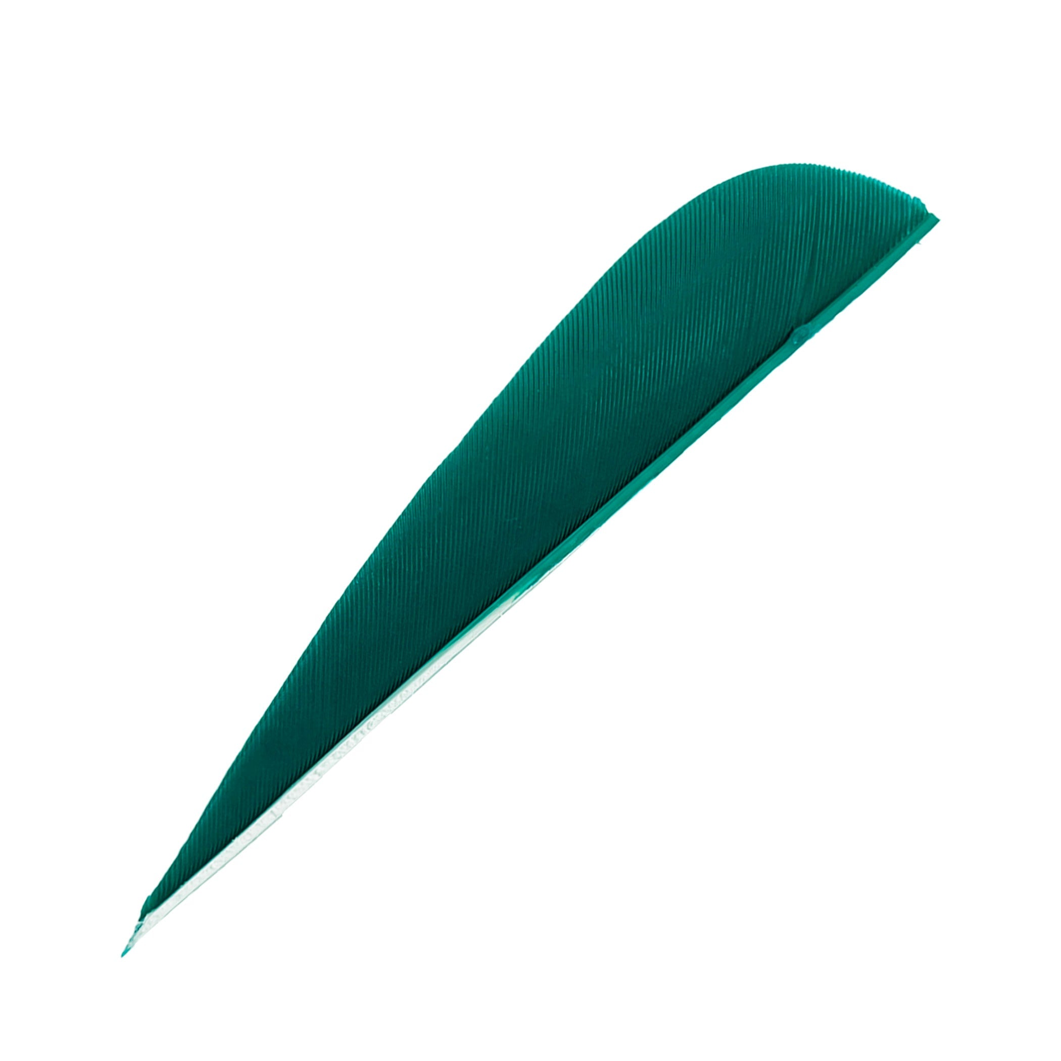 Feder RW Parabol