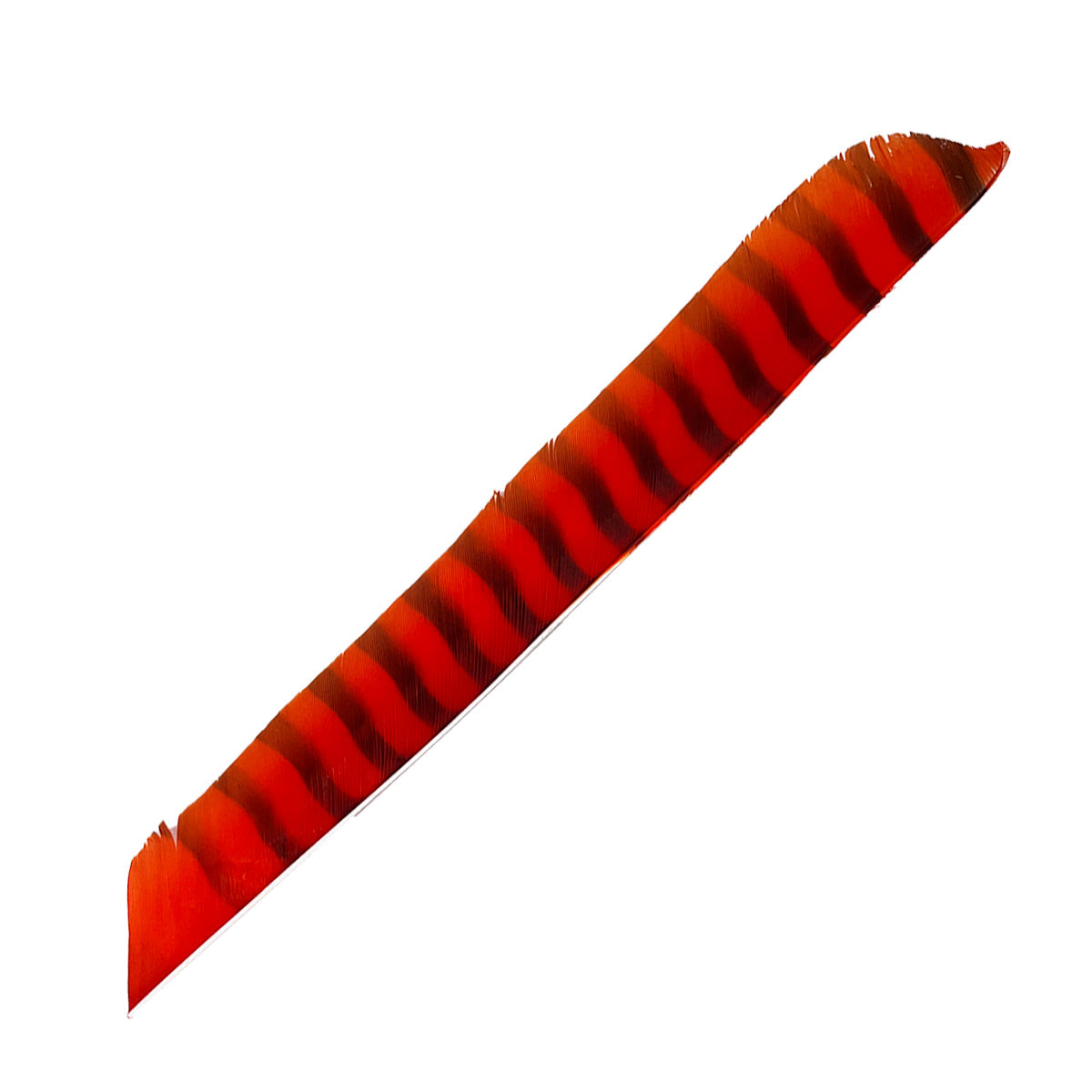 Federn Volle Länge Barred